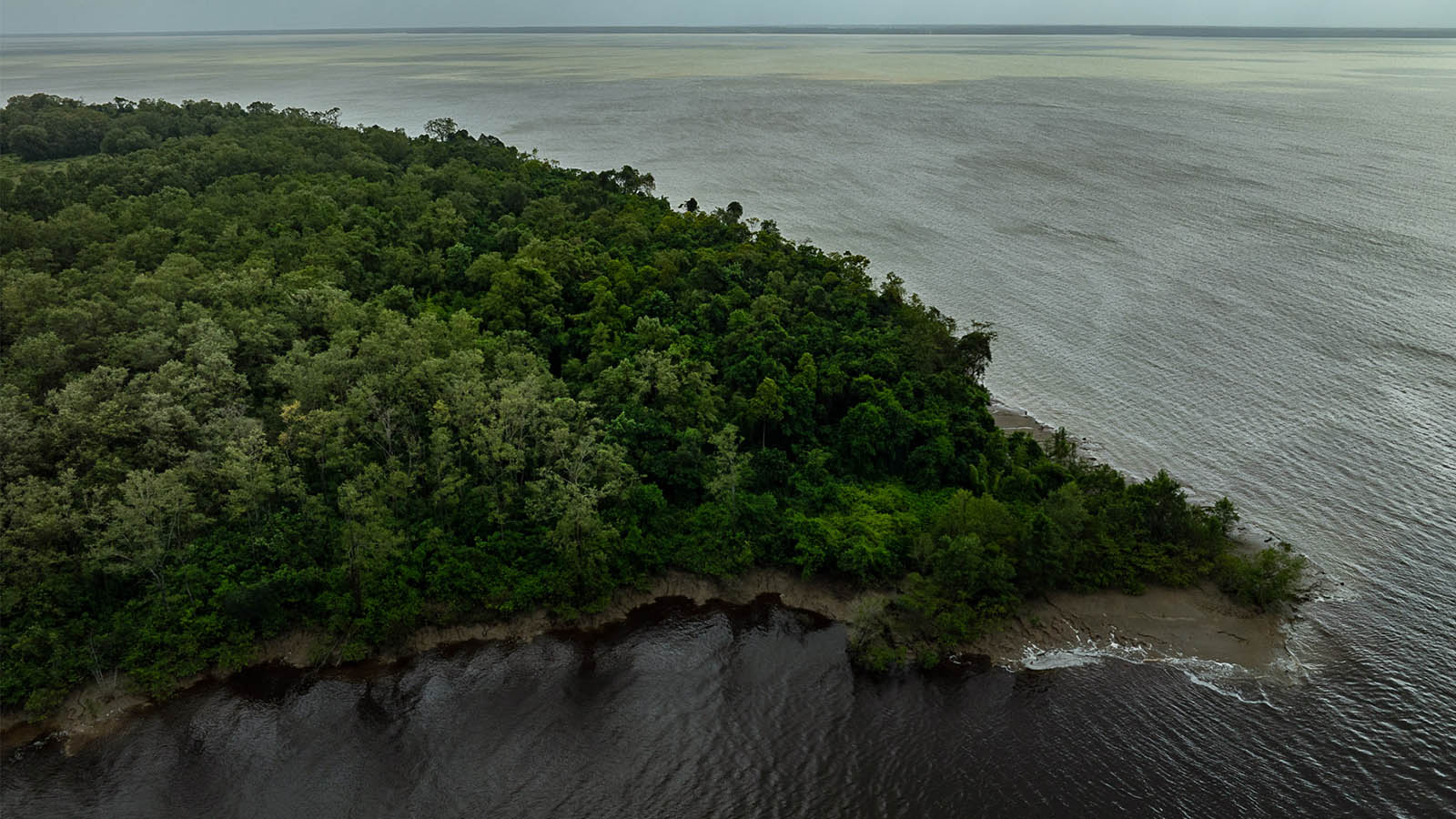 suspensão de trabalho da Petrobras (Foto: Marizilda Cruppe / Greenpeace - 2025)