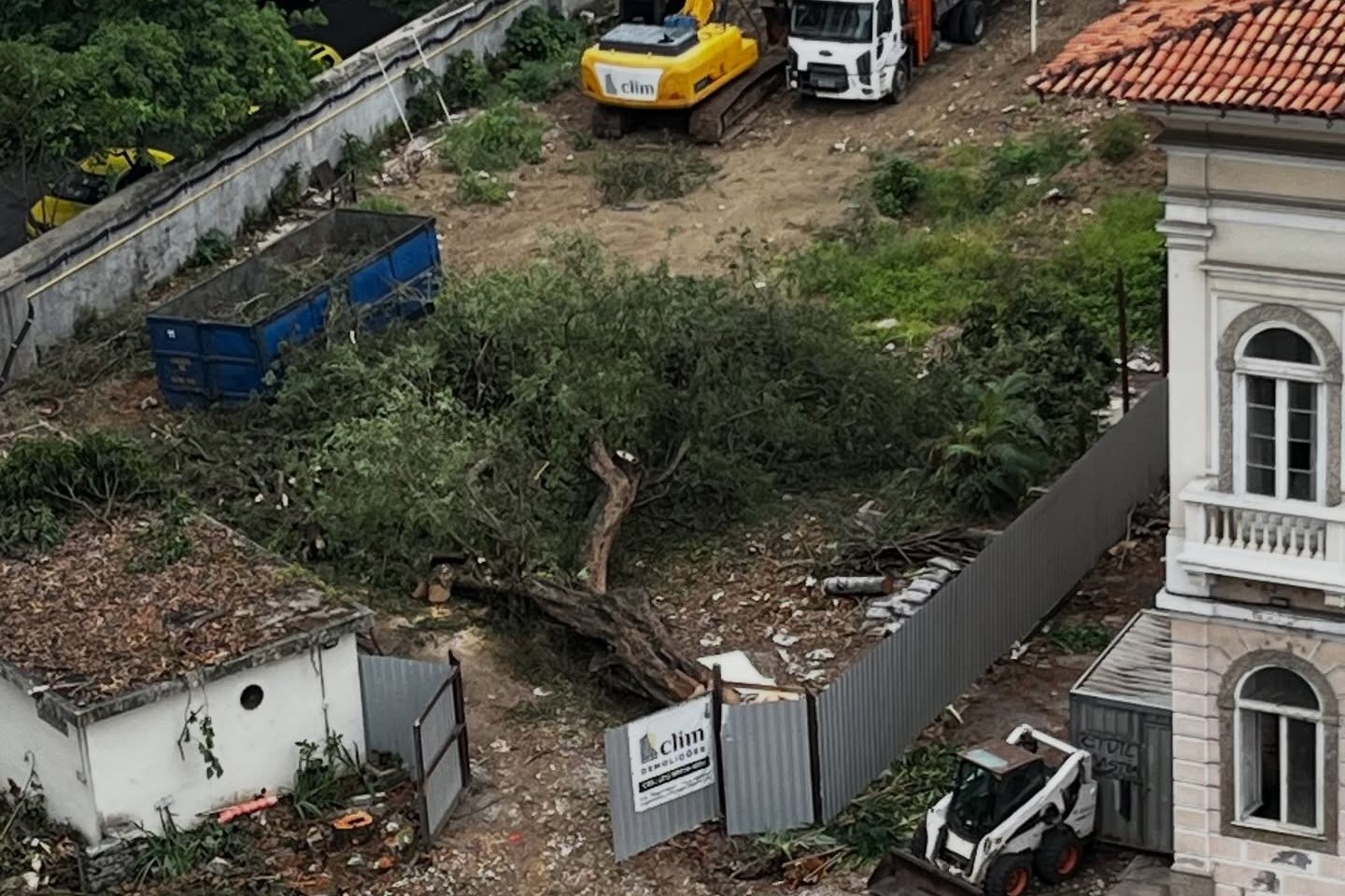Árvore derrubada em terreno na Zona Sul do Rio: corte de dezenas de árvores na cidade revela falta de fiscalização para medidas compensatórias que também ignoram importância dos microclimas (Foto: Reprodução / Redes Sociais Flama)