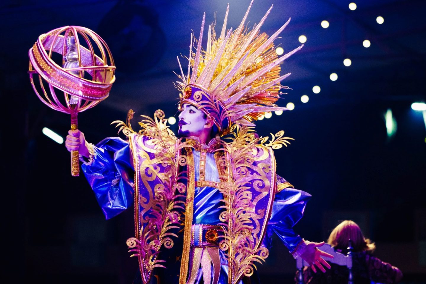 Apresentação de fantasia da Rosas de Ouro para o Carnaval SP 2026 com o tema Escrito na Estrela: confira enredos das 14 escolas do Grupo Especial (Foto: Rosas de Ouro / Divulgação)