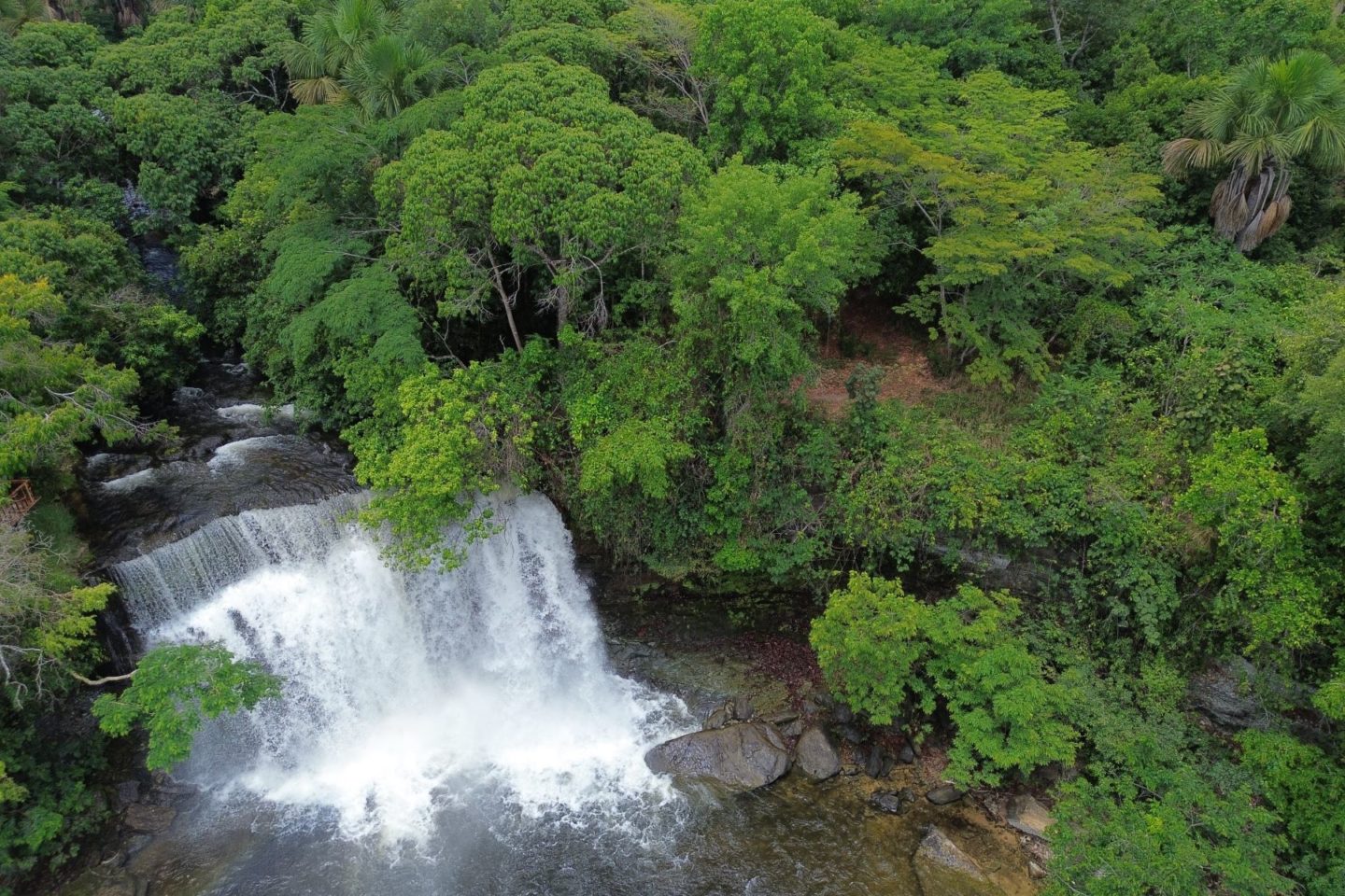 Área de Cerrado no Maranhão: pesquisa mostra que áreas úmidas do bioma estocam mais carbono do que as florestas da Amazônia (Foto: Fernando Frazâo / Agência Brasil - 12/10/2025)