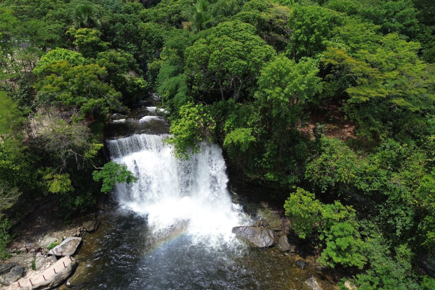 Área de Cerrado no Maranhão: bioma está no centro da crise hídrica brasileira (Foto: Fernando Frazâo / Agência Brasil - 12/10/2025)