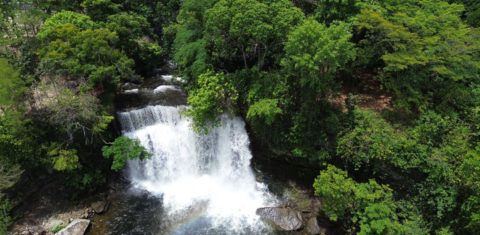 Área de Cerrado no Maranhão: bioma está no centro da crise hídrica brasileira (Foto: Fernando Frazâo / Agência Brasil - 12/10/2025)