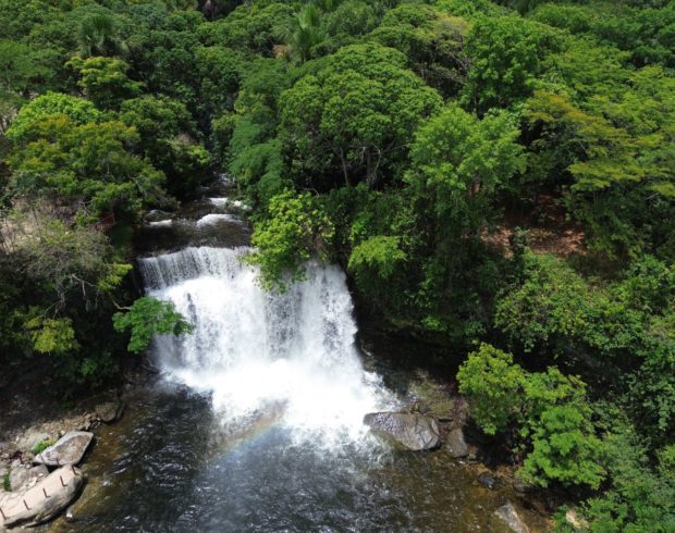 Quando a água desaparece silenciosamente: o Cerrado no centro da crise hídrica brasileira