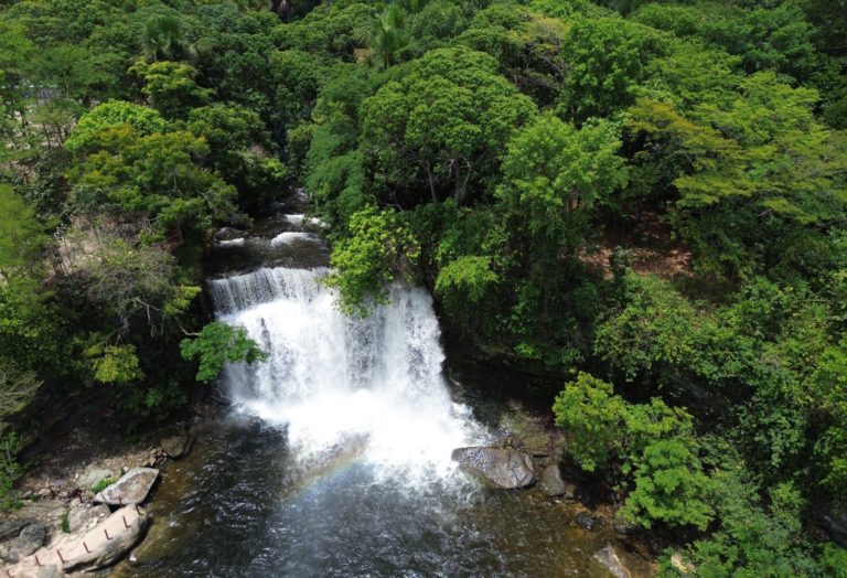 Área de Cerrado no Maranhão: bioma está no centro da crise hídrica brasileira (Foto: Fernando Frazâo / Agência Brasil - 12/10/2025)