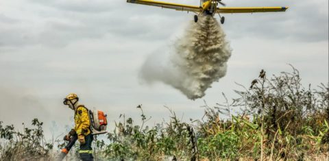 Combate a incêndio na floresta na Amazônia: Brasil impulsionou redução da perda de florestas tropicais no mundo (Foto: Marcelo Camargo / Agência Brasil)