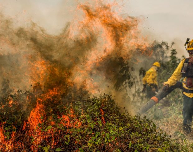El Niño Godzilla: mundo em alerta com fenômeno climático de alta intensidade