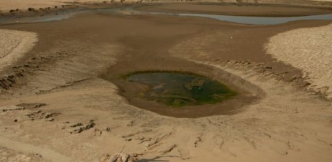 Seca extrema no Rio Solimões, no Amazonas, em 2024: após dois anos consecutivos de seca severa, a Amazônia recuperou a superfície de água em 2025, ano em que esteve abaixo da média histórica durante apenas dois meses (Foto: Nilmar Lage / Greenpeace - 24/09/2024)