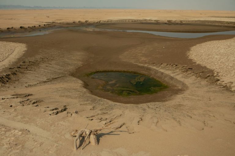 Seca extrema no Rio Solimões, no Amazonas, em 2024: após dois anos consecutivos de seca severa, a Amazônia recuperou a superfície de água em 2025, ano em que esteve abaixo da média histórica durante apenas dois meses (Foto: Nilmar Lage / Greenpeace - 24/09/2024)