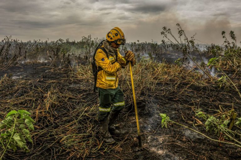 Brigadista do Prevfogo no combate a incêndio durante seca no Pantanal em 2024: bioma com perda acelerada de superfície de água (Foto: Marcelo Camargo / Agência Brasil - 29/06/2024)
