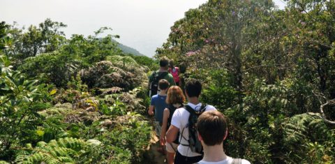 Trilha no Parque Nacional da Tijuca: impulsionado pelas redes sociais, o turismo instagramável provoca impactos negativos nos ambientes naturais do Rio de Janeiro (Foto: Alexandre Macieira)