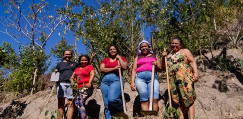 Mulheres participam de mutirão agroecológico na Serra da Misericórdia: moradoras do Complexo da Penha transformam água, solo e resíduos em alimento, floresta e permanência (Foto: Thaís Valêncio)