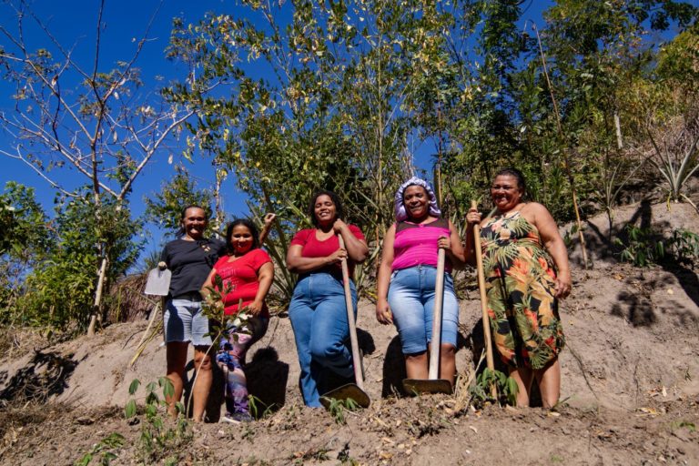Mulheres participam de mutirão agroecológico na Serra da Misericórdia: moradoras do Complexo da Penha transformam água, solo e resíduos em alimento, floresta e permanência (Foto: Thaís Valêncio)