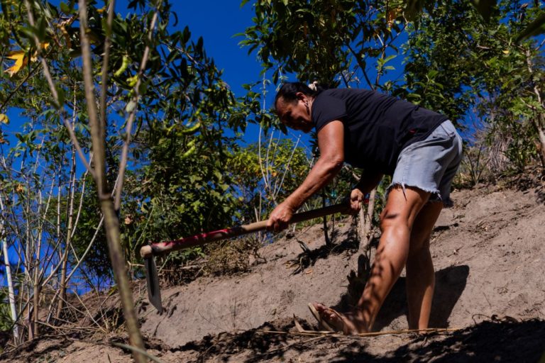 A paraibana Luzinete em mutirão de agrofloresta na Serra da Misericórdia: sentimento de valorização da comunidade (Foto: Thaís Valêncio)