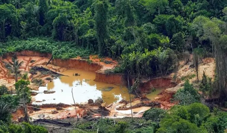 Área de garimpo em Surucucu (RR) dentro da Terra Indígena Yanomami: novos negócios para o crime organizado (Foto: Leo Otero / Ministério dos Povos Indígenas)
