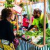 Tempo de mutirão: Plante Rio celebra 10 anos com tema que remete à mobilização coletiva