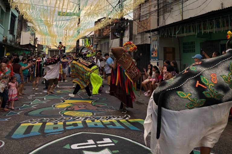 Folguedo junino do Boi Marronzinho: instrumento de defesa da periferia (Foto: Bianca Portela)