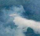 Queimadas levam emergência a 36 municípios do Amazonas e fecham escolas em Manaus