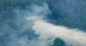 Queimadas levam emergência a 36 municípios do Amazonas e fecham escolas em Manaus