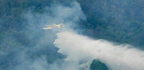 Avião de combate a incêndio florestal do Ibama sobre a cidade de Audazes: Amazonas tem 36 dos seus 62 municípios em estado de emergência (Foto: Rogério Cassimiro / MMA)